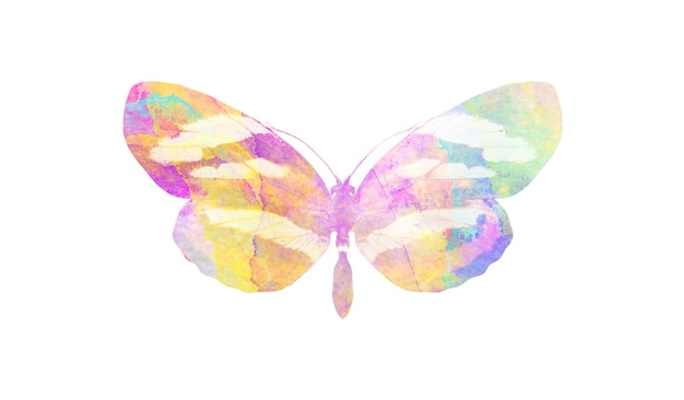 Photo multicolor watercolor butterfly. tropical insect for design. isolated on white background