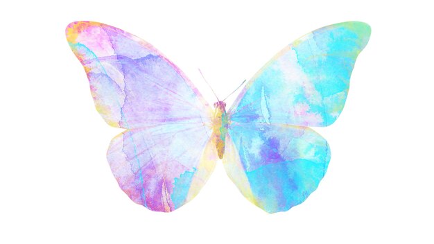 Photo multicolor watercolor butterfly. tropical insect for design. isolated on white background