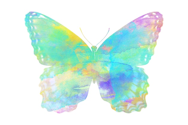 Photo multicolor watercolor butterfly. tropical insect for design. isolated on white background