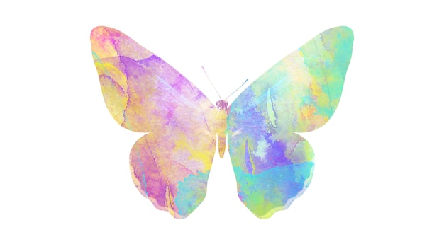 Photo multicolor watercolor butterfly. tropical insect for design. isolated on white background