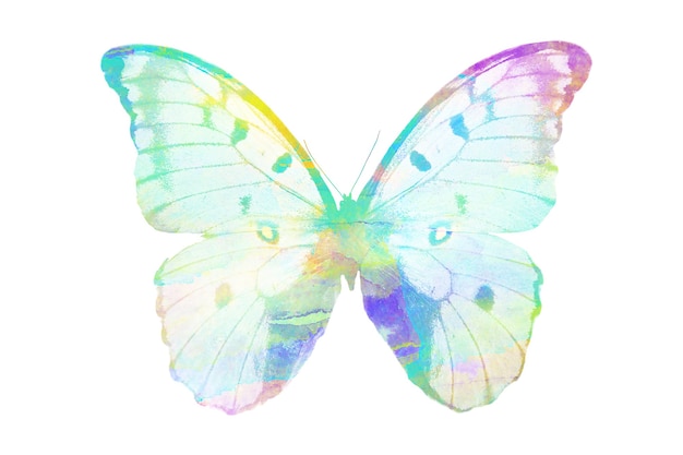 Photo multicolor watercolor butterfly. tropical insect for design. isolated on white background