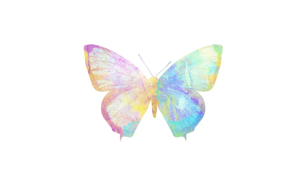여러 가지 빛깔의 수채화 나비. 디자인을위한 열대 곤충. 흰색 배경에 고립