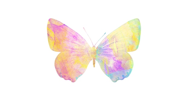 사진 여러 가지 빛깔의 수채화 나비. 디자인을위한 열대 곤충. 흰색 배경에 고립