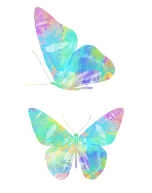 Photo multicolor watercolor butterfly. tropical insect . isolated on white background
