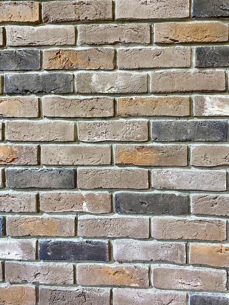 Multicolored bricks wall for background and copy space