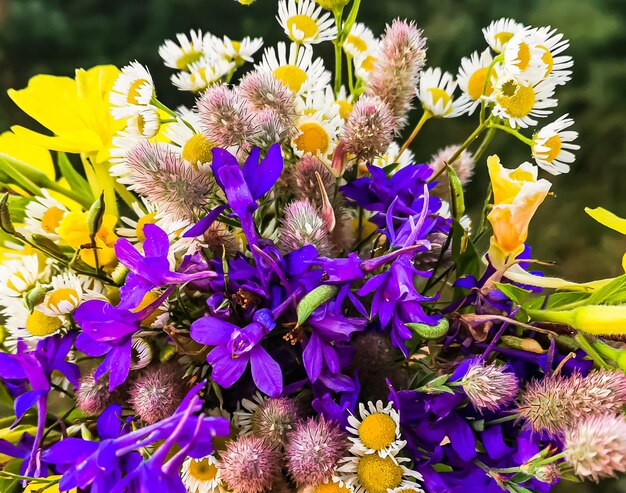 Multicolored bright field and meadow flowers Natural flower background