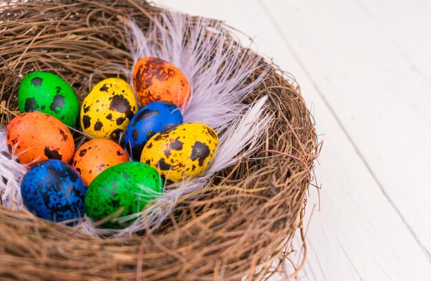 Multicolored Easter eggs in a nest on a white wooden background