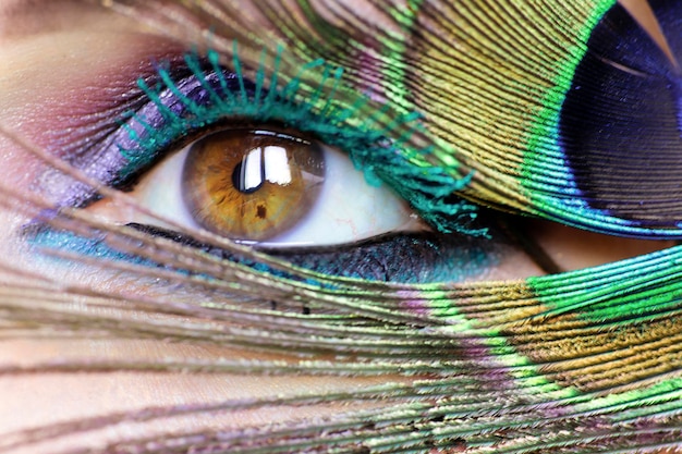 Multicolored eye makeup closeup