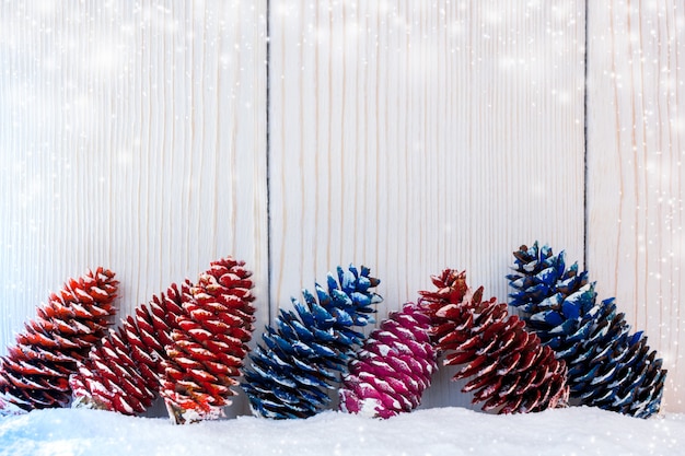 Multicolored fir cones on snow