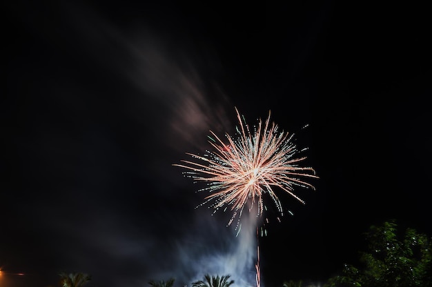 Multicolored fireworks in the night sky Celebration of Independence Day New Year and other holidays