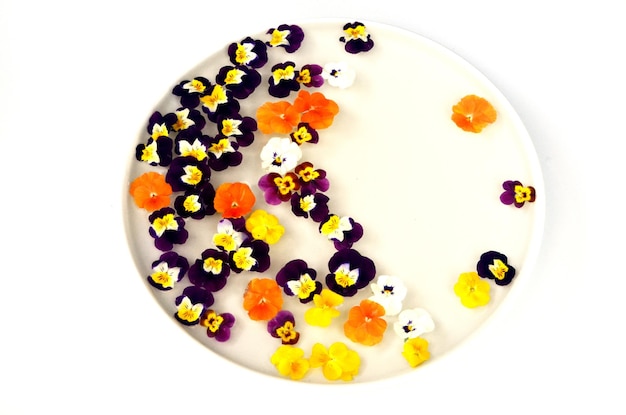 Multicolored flower mandala on floating on water plate made of fresh flowers.