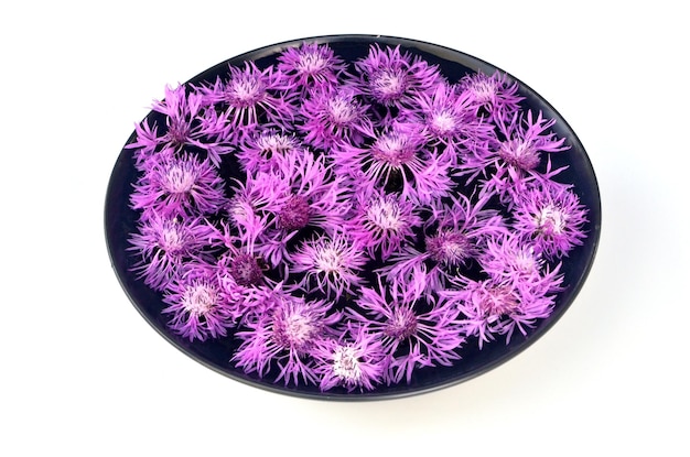 신선한 꽃으로 만든 물 접시에 떠 있는 여러 가지 빛깔의 꽃 만다라.