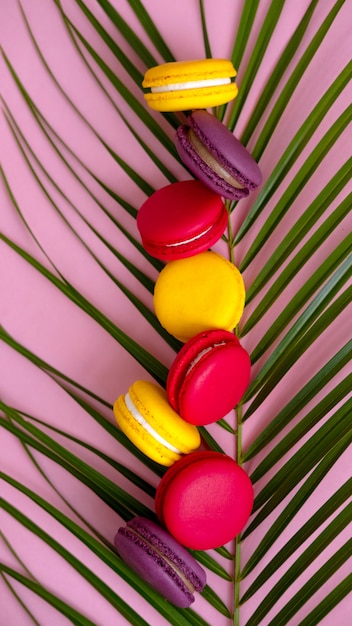 Разноцветные макароны печенье выложены на пальмовых листьев крупным планом. Праздничная выпечка, сладкое печенье.