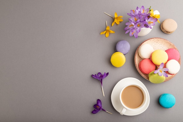 multicolored macaroons with spring snowdrop crocus flowers and cup of coffee  