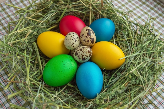 Multicolored painted eggs. Easter theme.