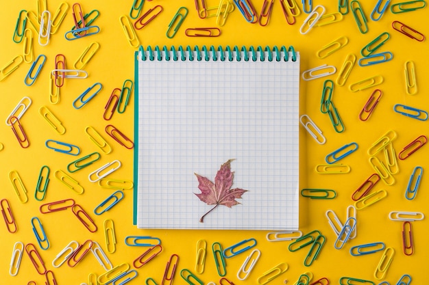 A multicolored paper clips and Notepad on a yellow background