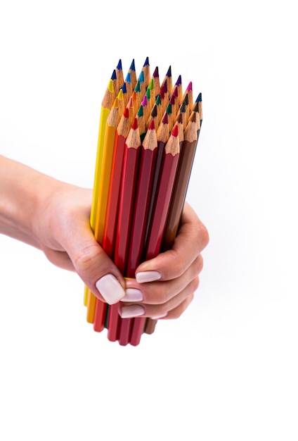 Multicolored pencils for drawing in a female hand multicolored pencils in female hand on white background Close up copy space Modern art Modern design