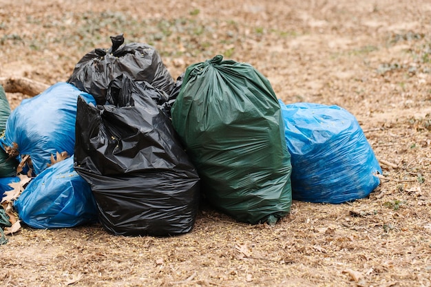 Multicolored plastic garbage bags in the park spring cleaning
leaves and garbage in bags