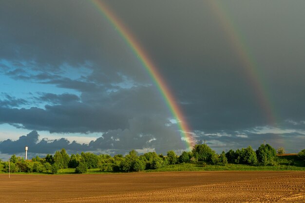 A multicolored rainbow over a plowed agricultural field during the rain Beautiful spring natural landscape Beautiful nature of Belarus