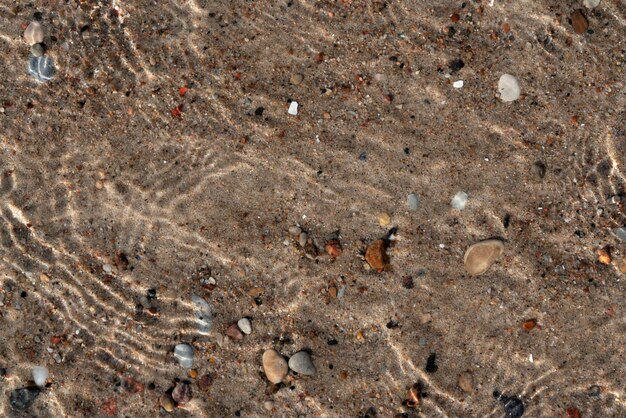 Multicolored sea pebbles on sand through seawater Baltic Sea Curonian Spit Kaliningrad region Russia