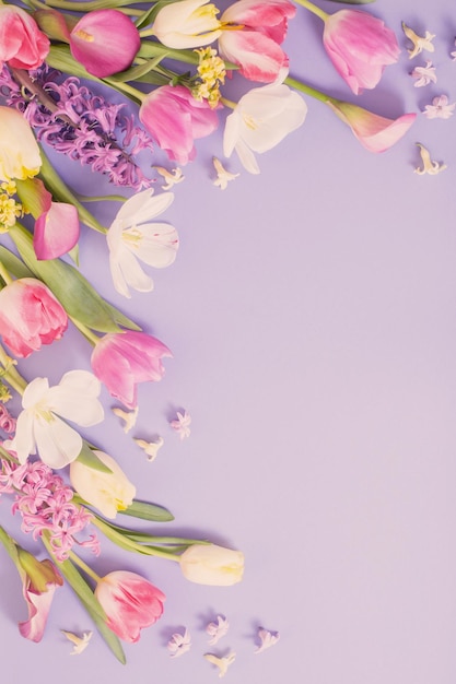 Multicolored spring flowers on purple background