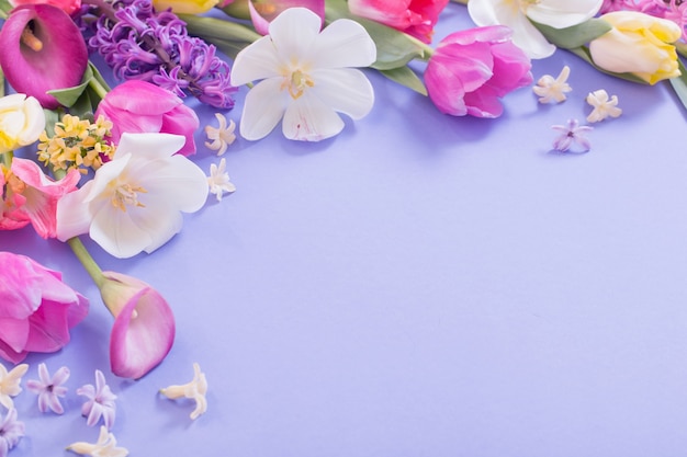 Multicolored spring flowers on  purple background