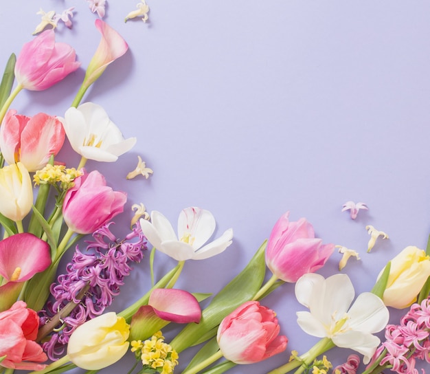 Multicolored spring flowers on  purple background