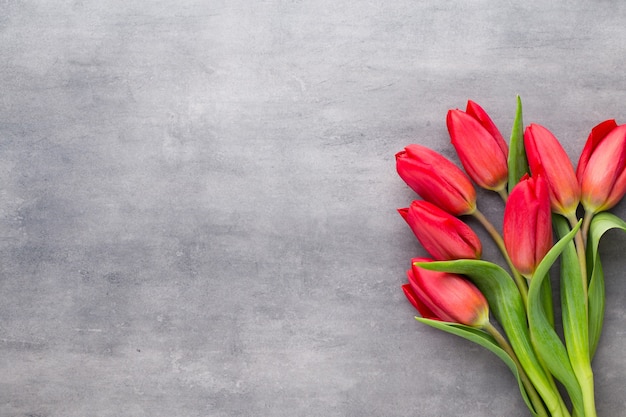 Multicolored spring flowers, tulip on a gray surface.