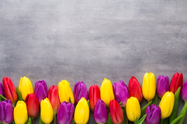 Photo multicolored spring flowers