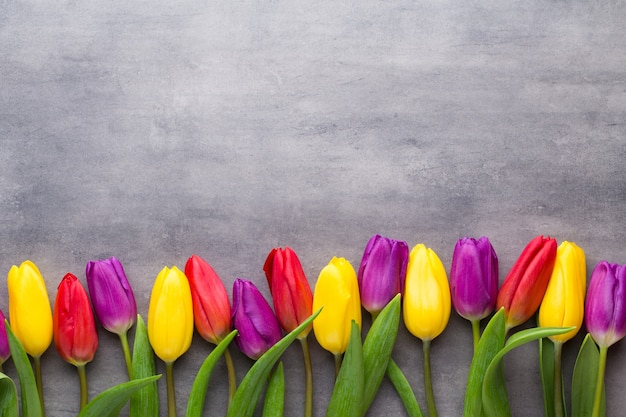 Multicolored spring flowers