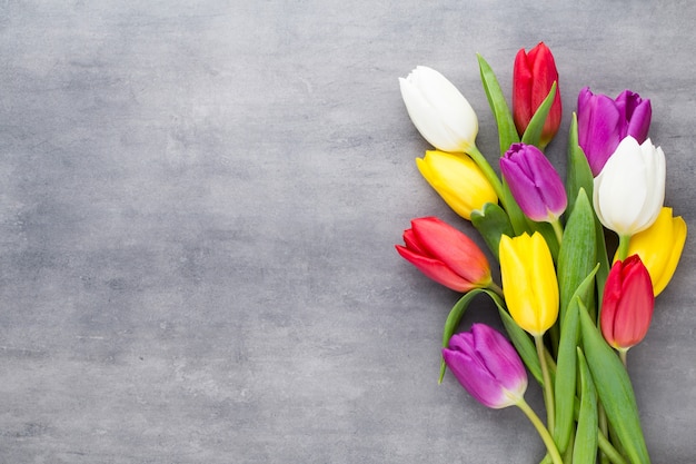 Multicolored spring flowers