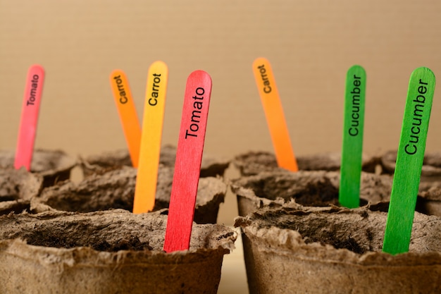 Multicolored sticks in peat pots