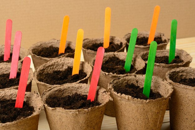 Multicolored sticks in peat pots