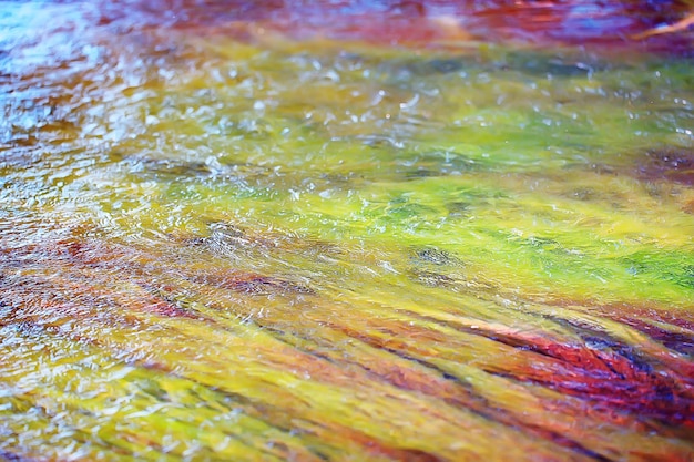 Multicolored texture surface of the water stream, clear water,\
colored stones at the bottom of the river