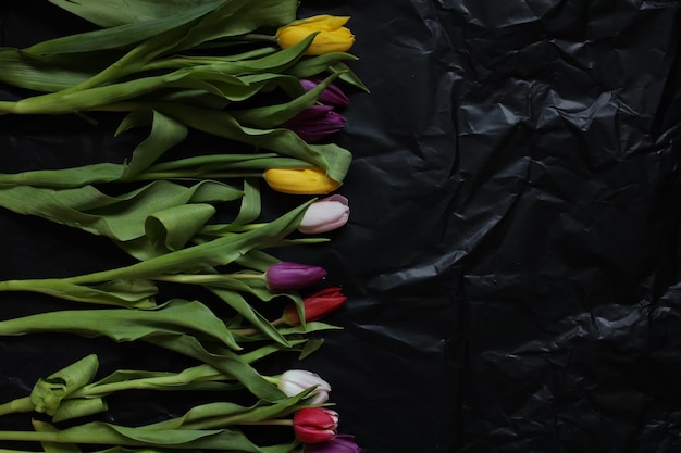 Multicolored tulips Bouquet of flowers Bouquet of tulips Tulips on a black background