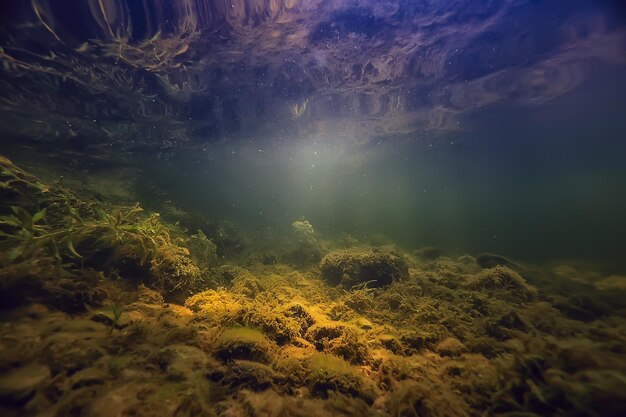 川の色とりどりの水中風景、藻類の澄んだ水、水中の植物