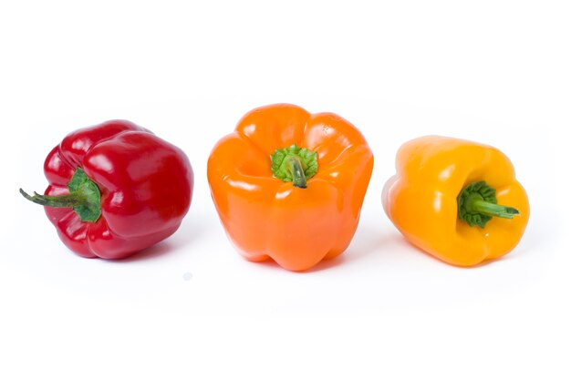 Multicolored vegetables on a white background