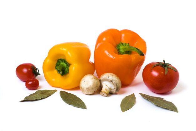 Multicolored vegetables on a white background