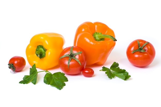 Multicolored vegetables on a white background