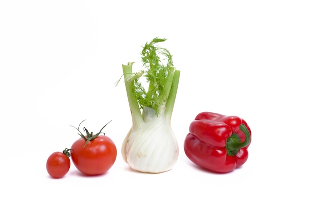 Multicolored vegetables on a white background