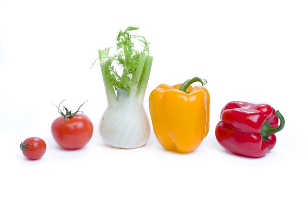 Multicolored vegetables on a white background