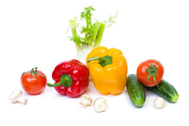 Multicolored vegetables on a white background