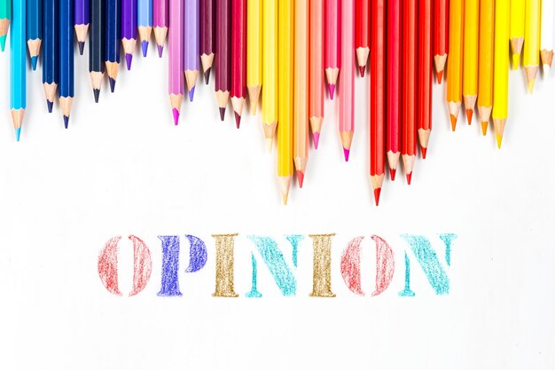 Multicolored wooden sticks Wooden colouring pencils and Opinion on white background