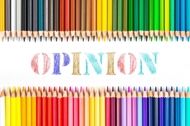 Multicolored wooden sticks Wooden colouring pencils and Opinion on white background