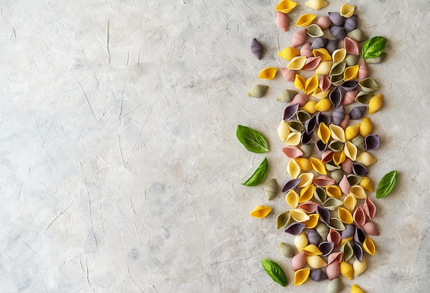 Multicoloured Italian pasta conchiglie with basil leaves on concrete background copy space