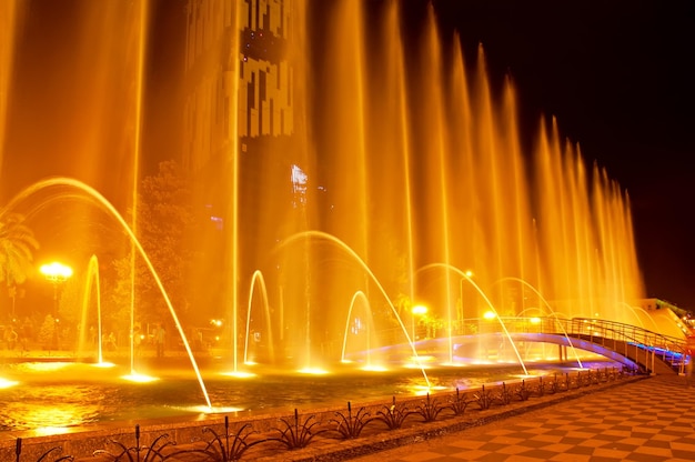Batumi 노래 분수에서 멀티미디어 레이저 다채로운 뮤지컬 쇼