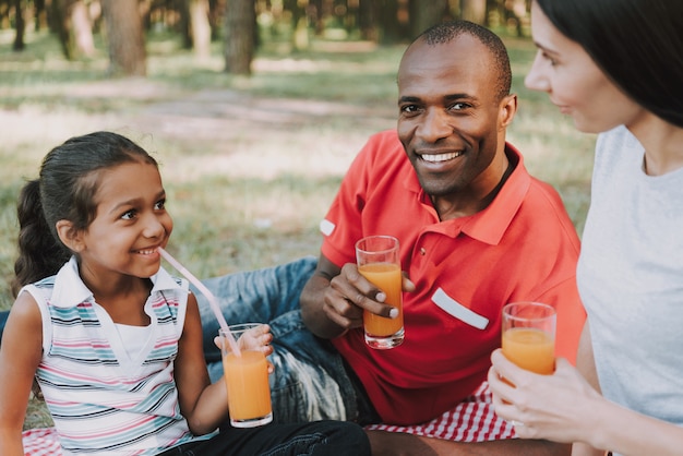 Multinational Family Drink Juice On A Picnic.