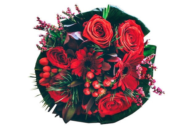 Multiple red color flowers on white background