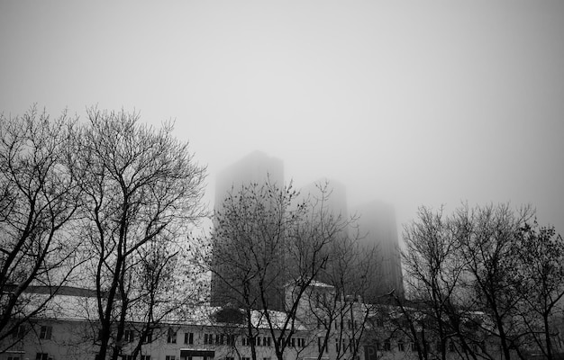 Multiple skyscrapers in fog scary architecture