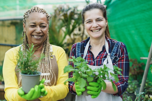 Multiracial mature women smiling on camera during working day inside garden greenhouse